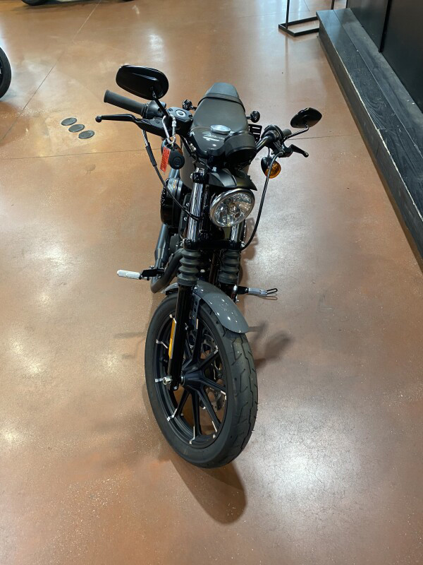 Iron 883®