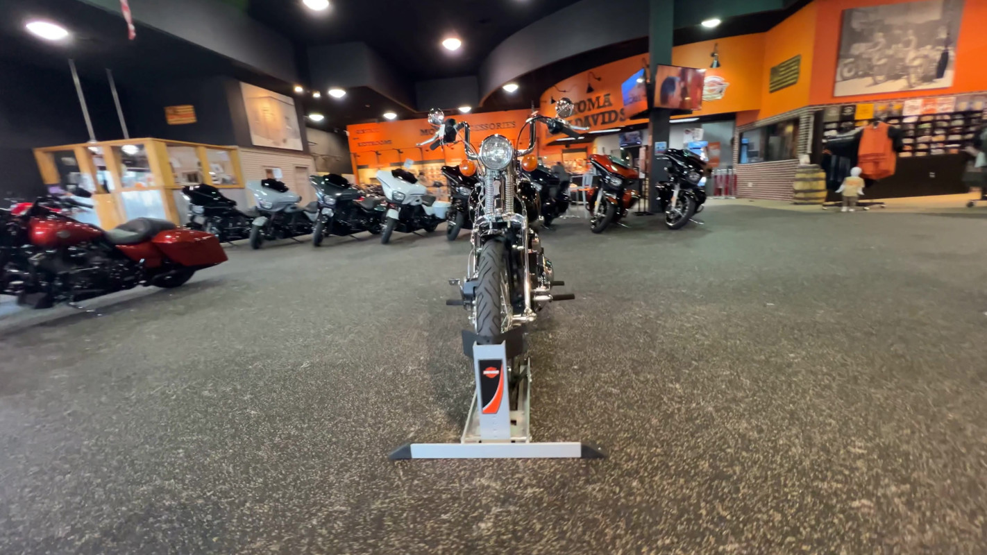 Springer® Softail®