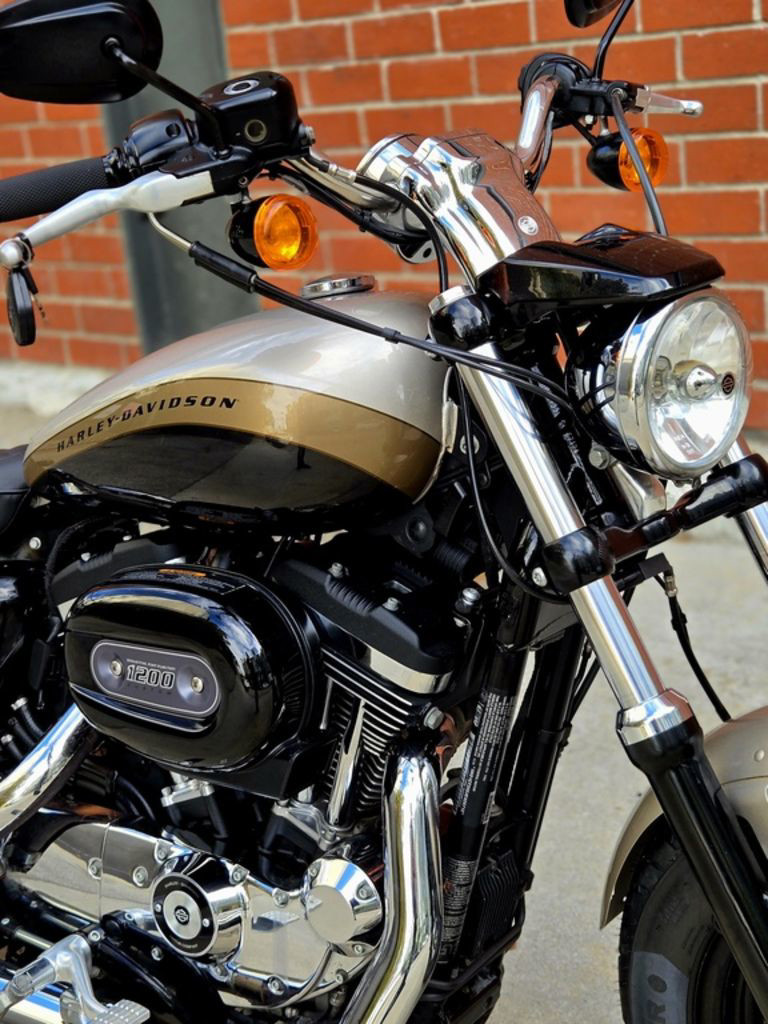 Sportster® 1200 Custom