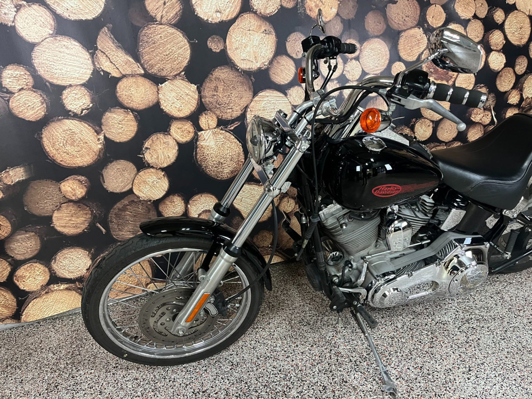 Softail® Standard