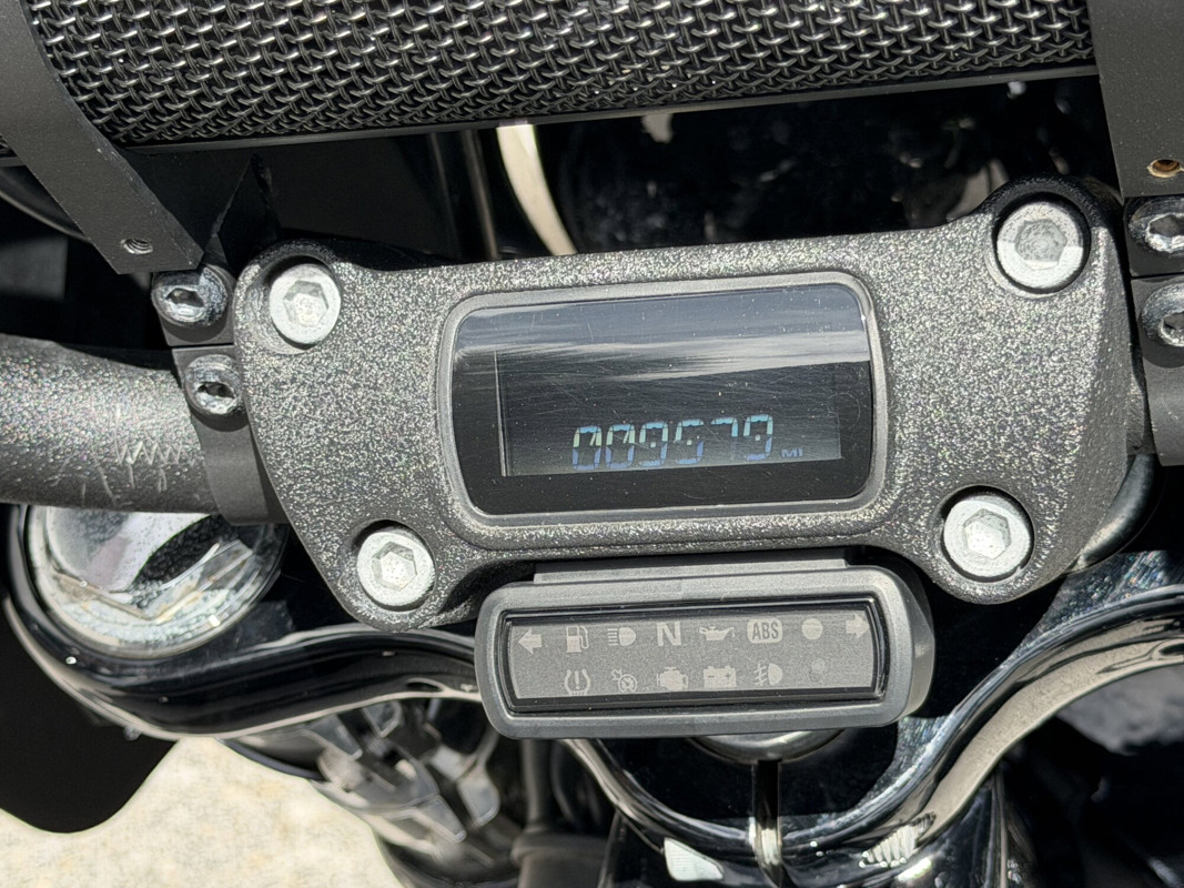 Street Bob®