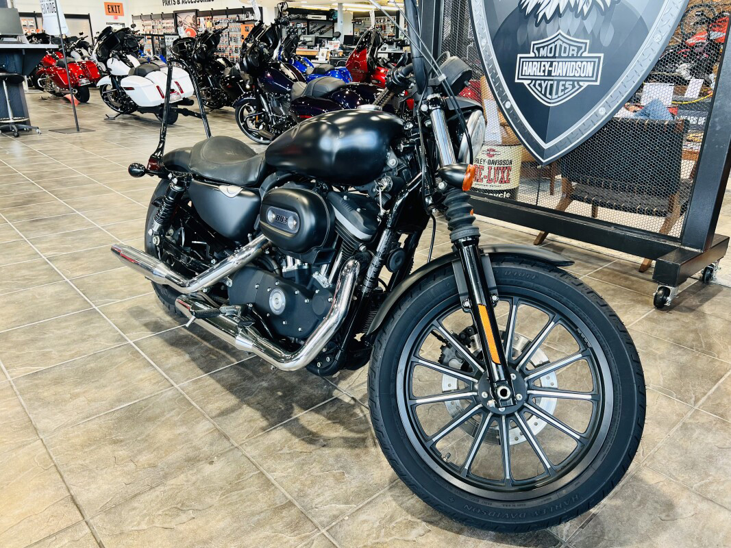Sportster® Iron 883®