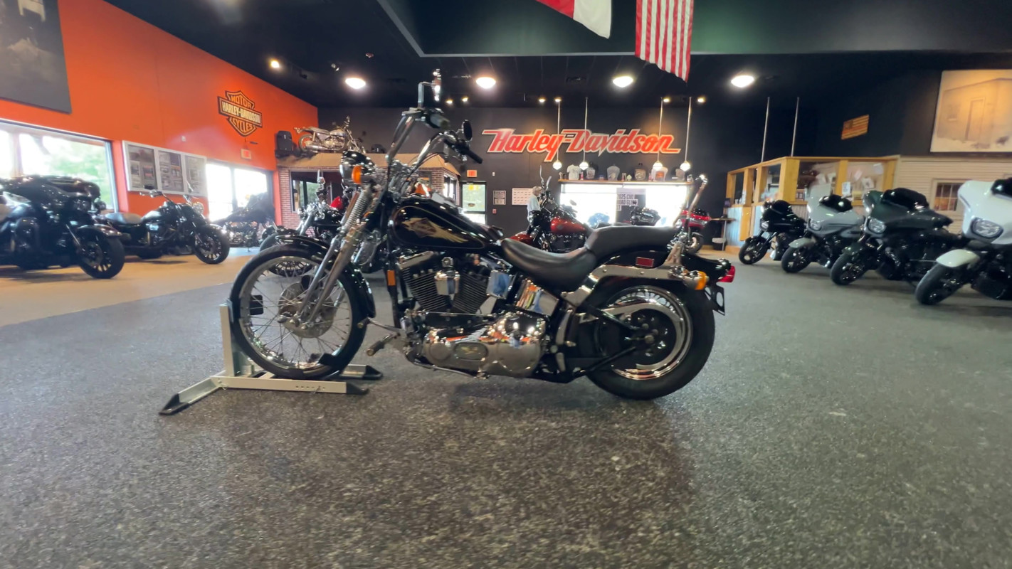 Springer® Softail®