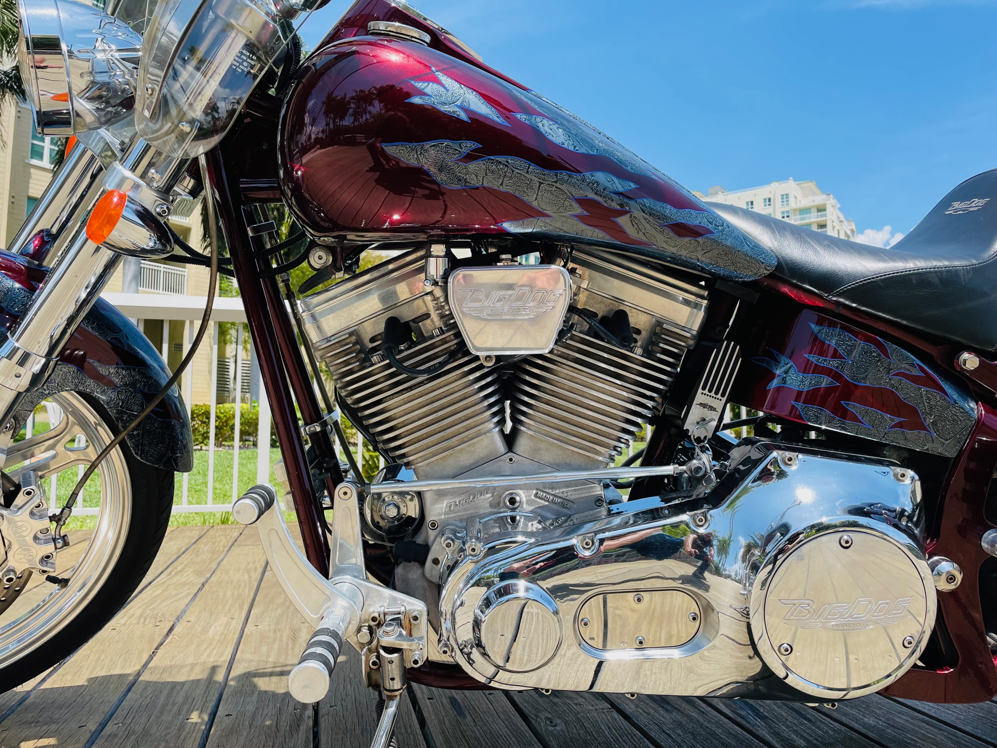 2008 big dog mastiff