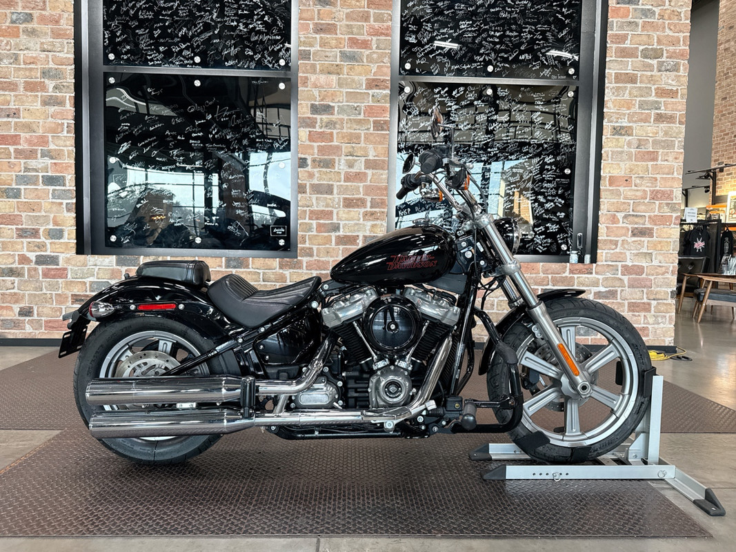 Softail® Standard