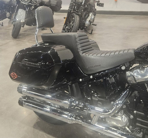 Softail® Standard