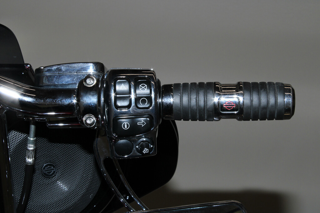 Street Glide® Special