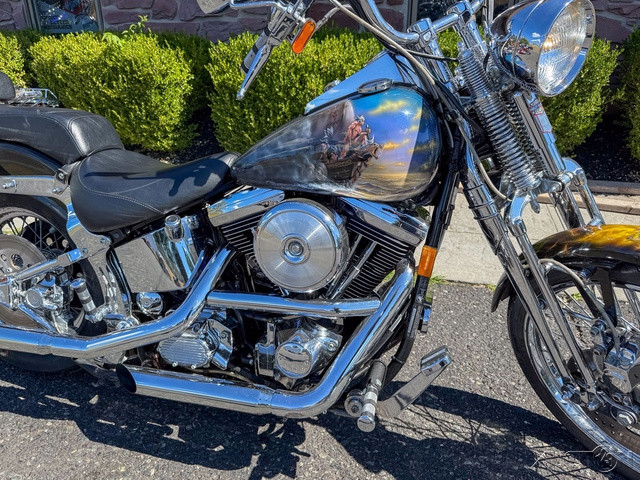Springer® Softail®