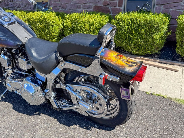 Springer® Softail®