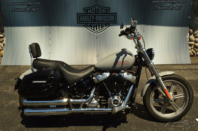 Softail® Standard