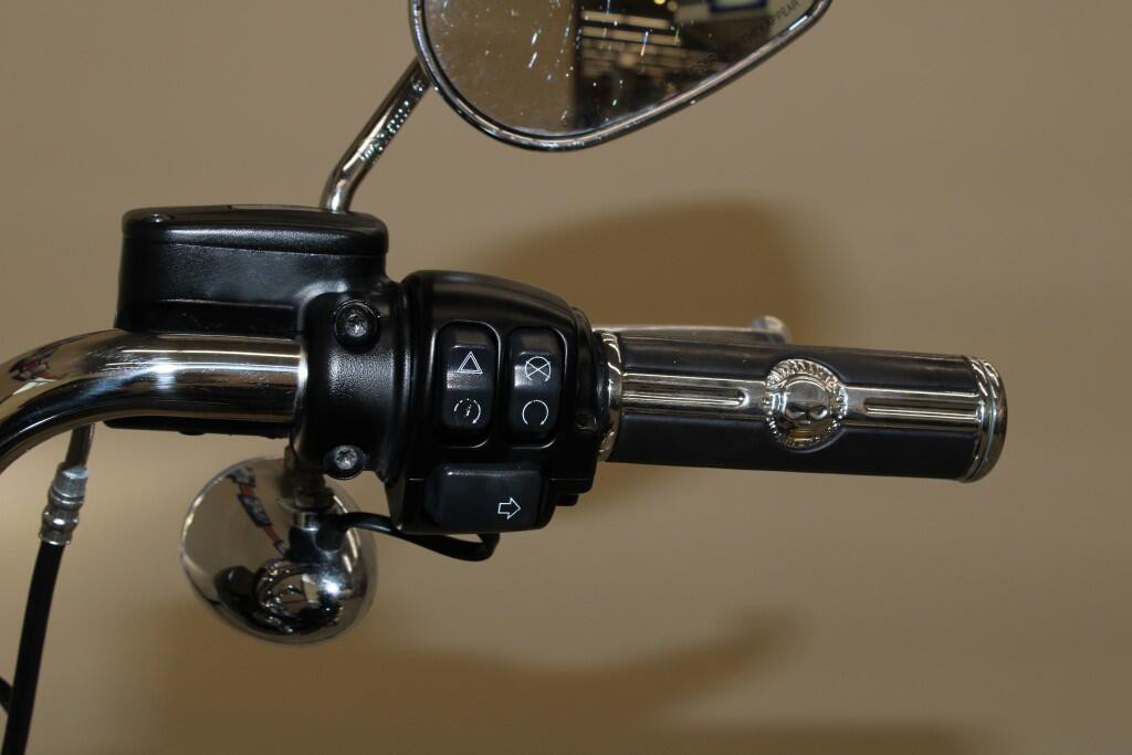 Softail® Standard