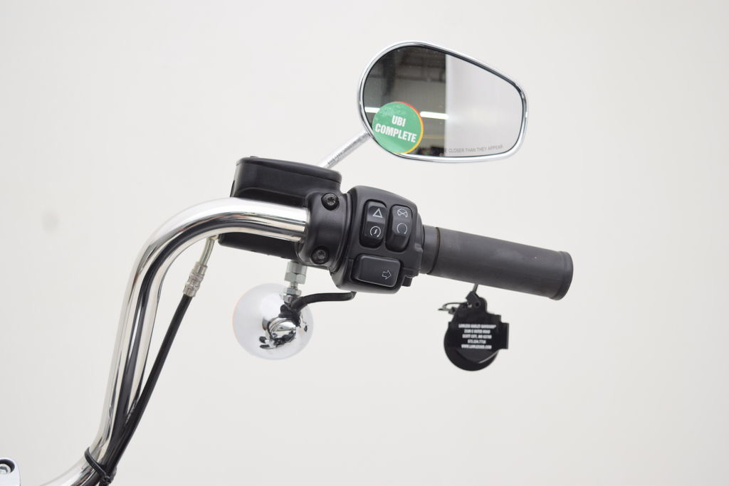 Softail® Standard