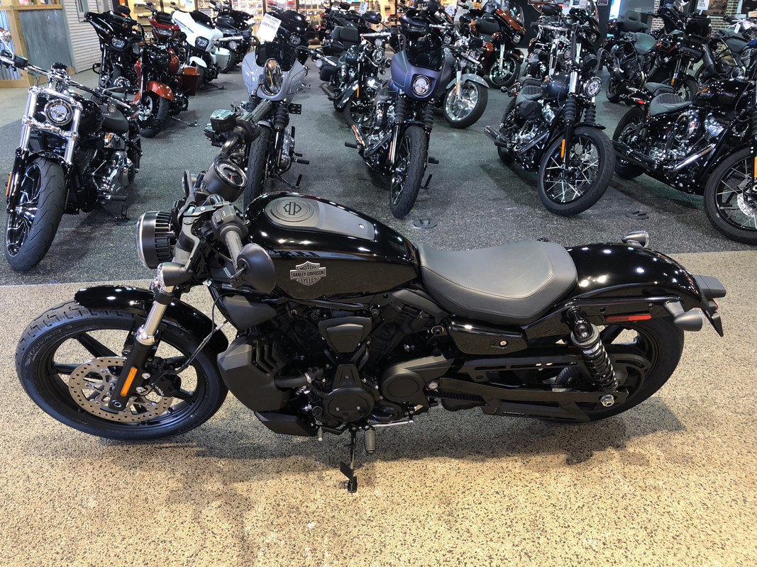 Nightster