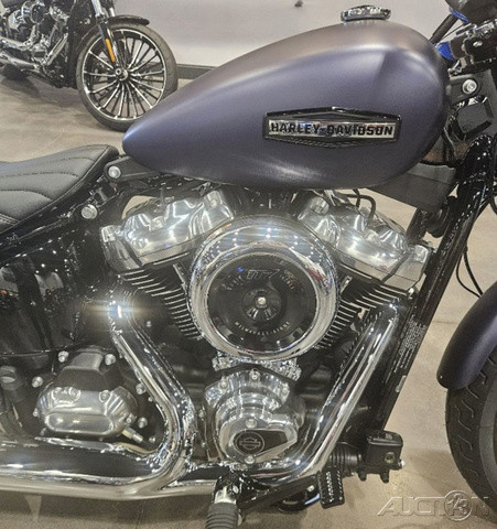 Street Bob®