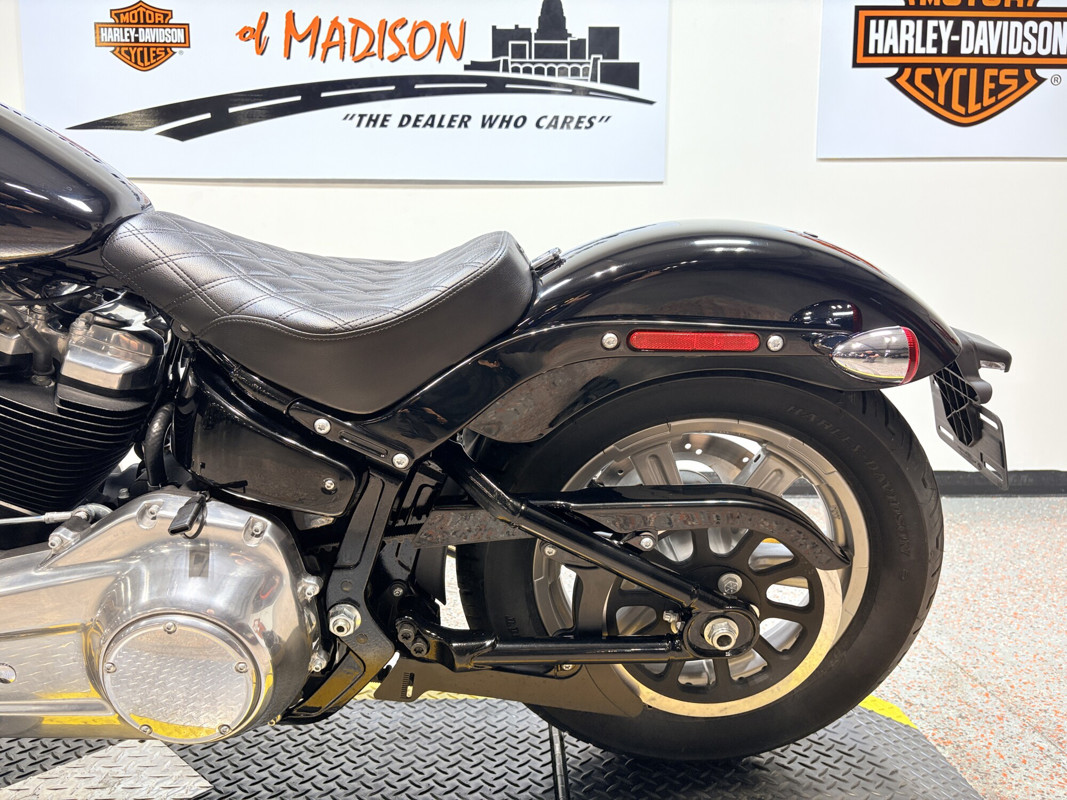 Softail® Standard