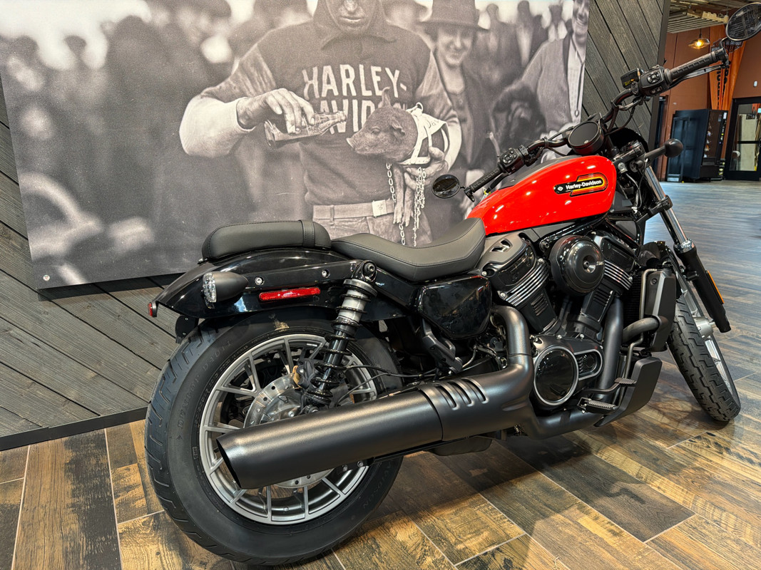 Nightster Special