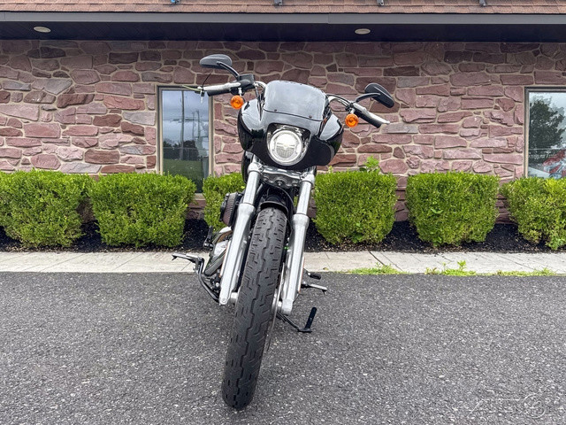 Softail® Standard