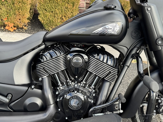 Springfield Dark Horse