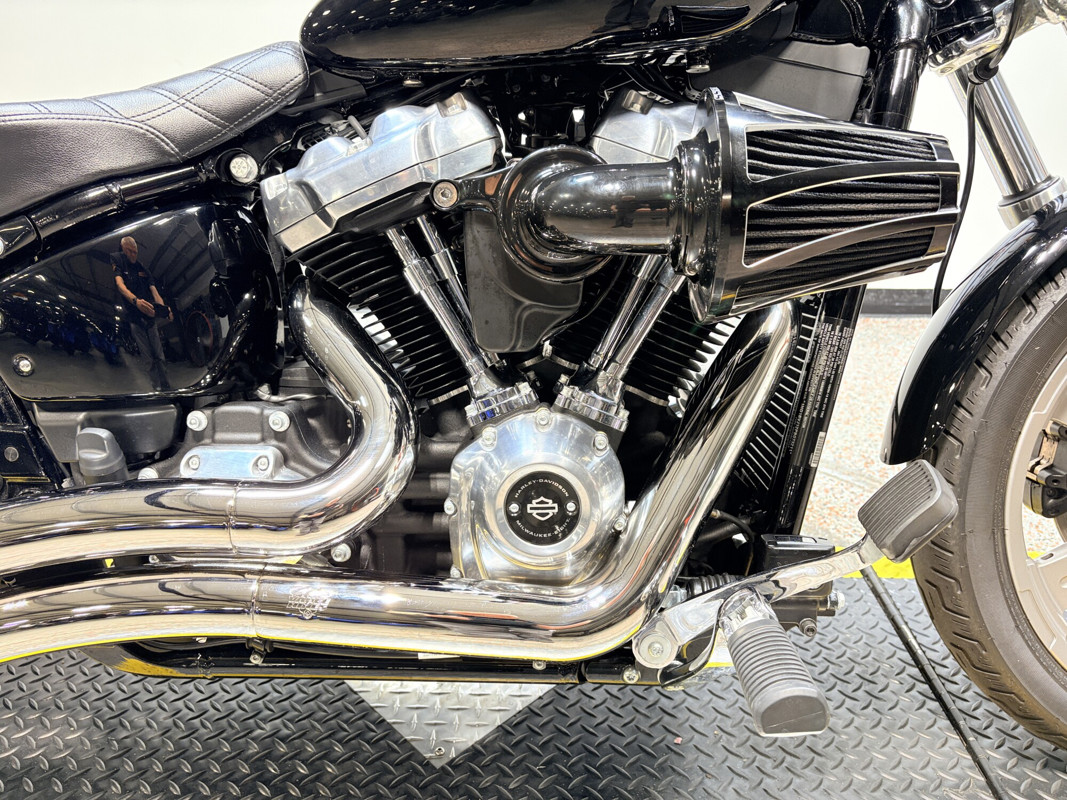 Softail® Standard