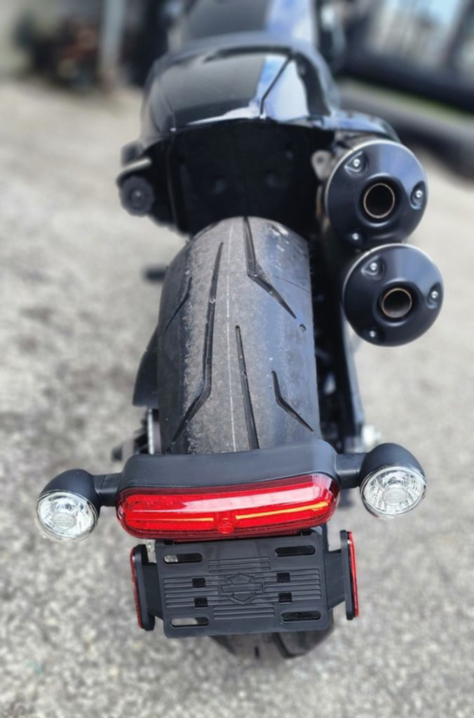 Sportster® S