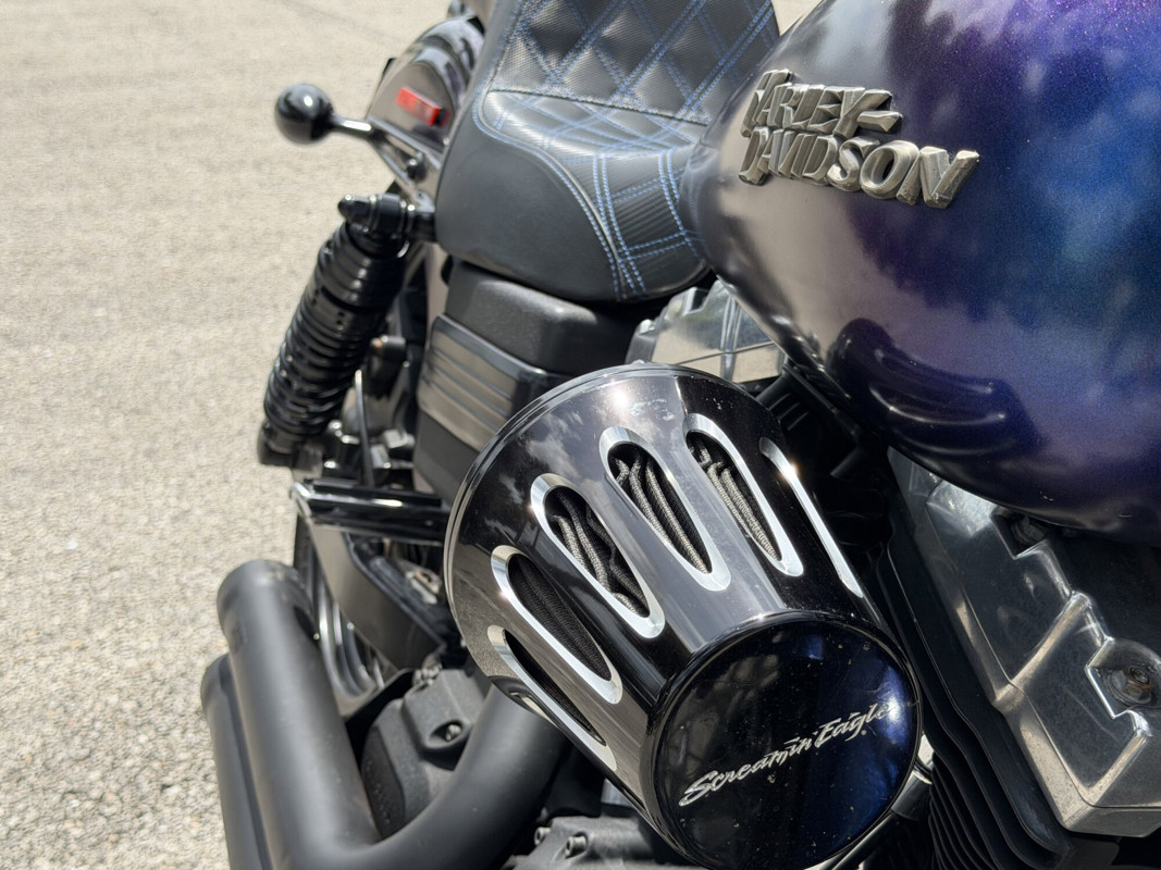 Dyna® Street Bob®