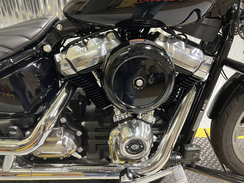 Softail® Standard