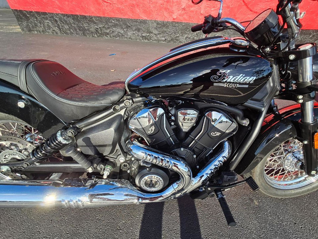 Scout Classic Limited