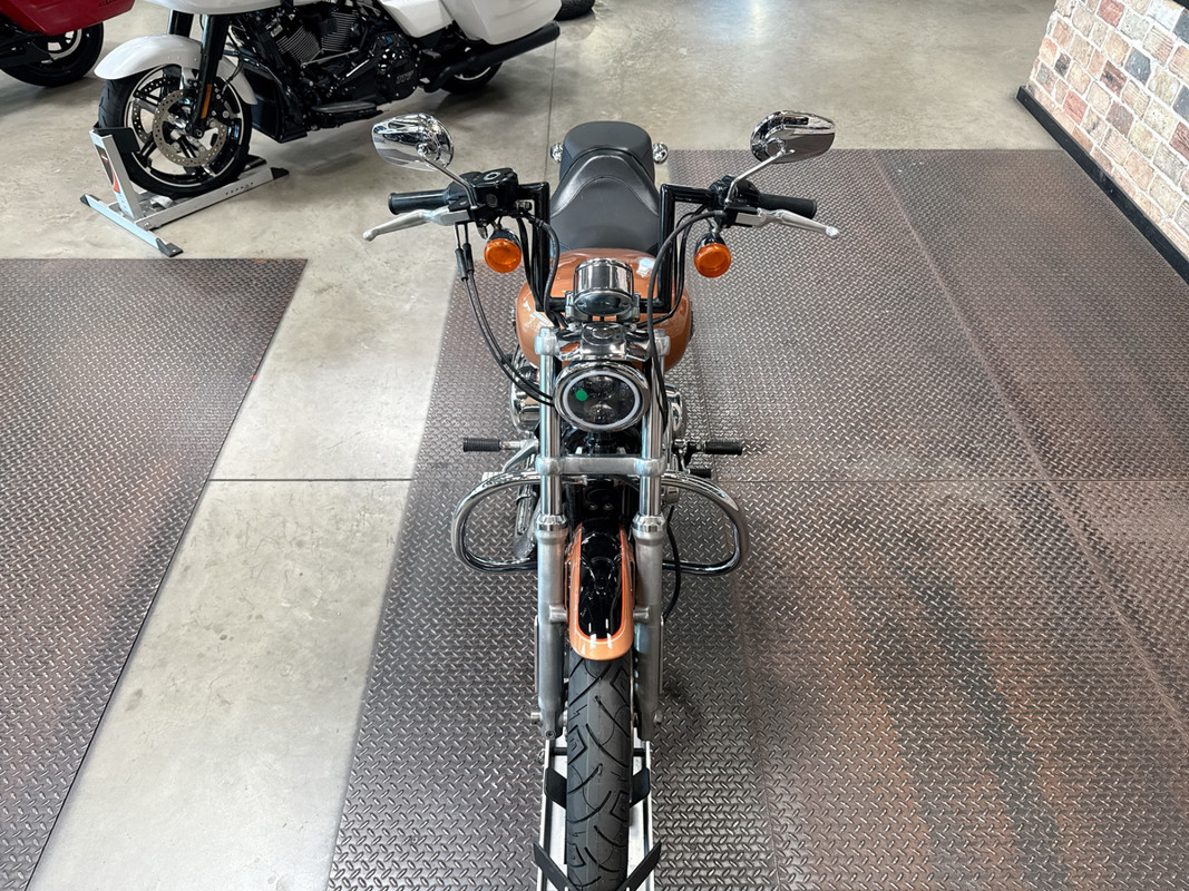 Sportster® 1200 Low Anniversary