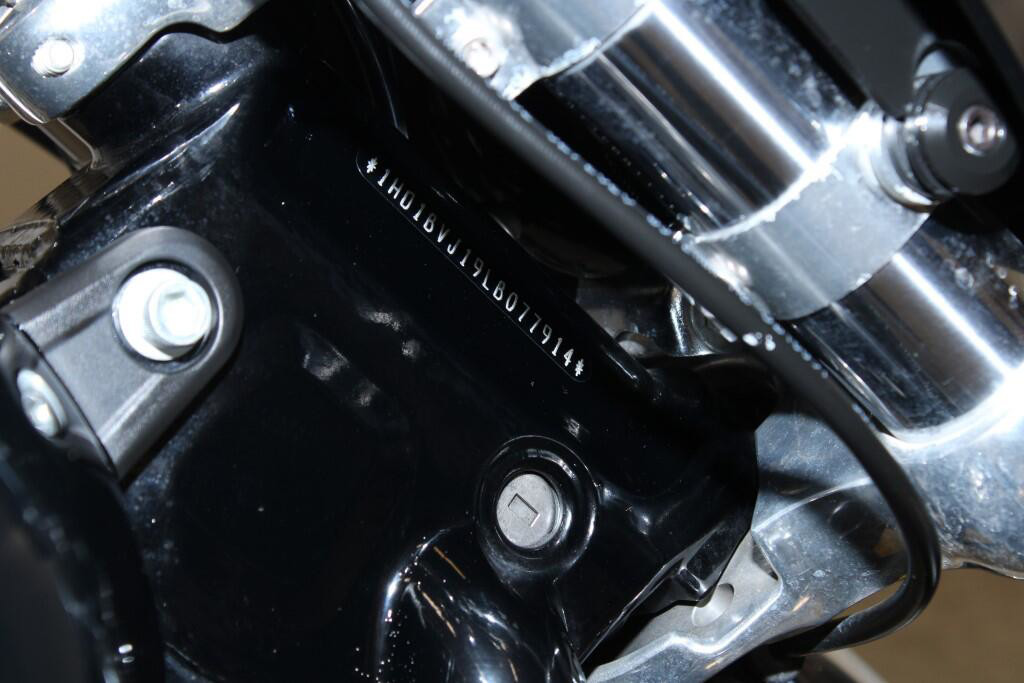 Softail® Standard