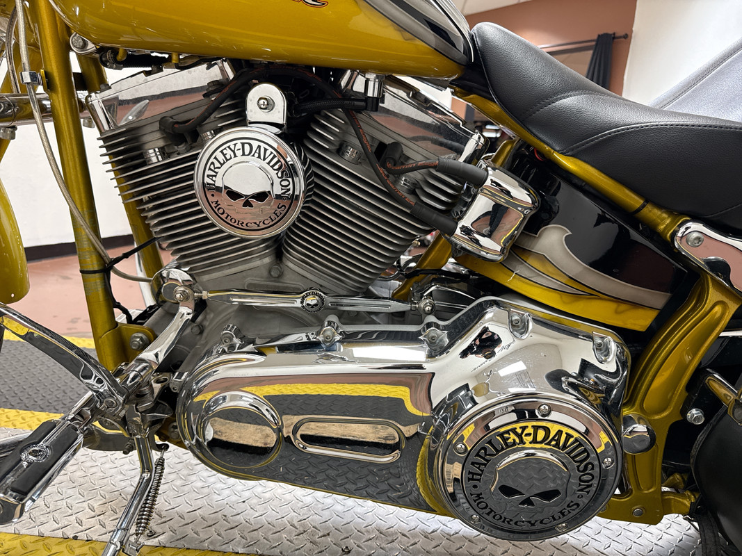 Screamin' Eagle® Softail® Springer®
