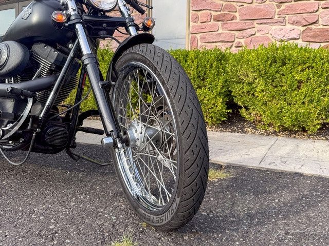 Softail® Night Train®