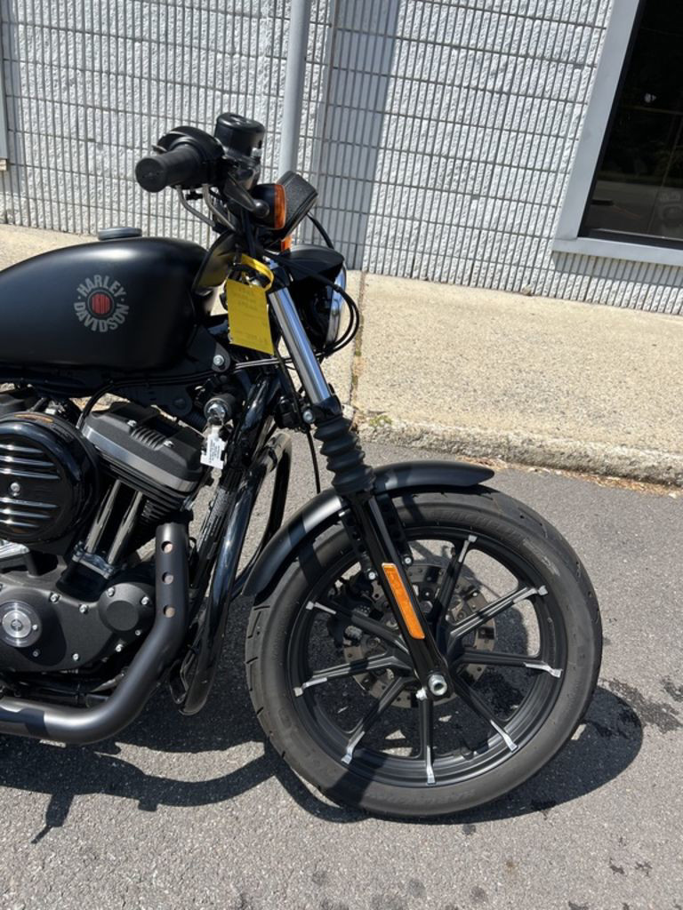 Iron 883®