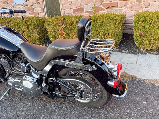 Springer® Softail®