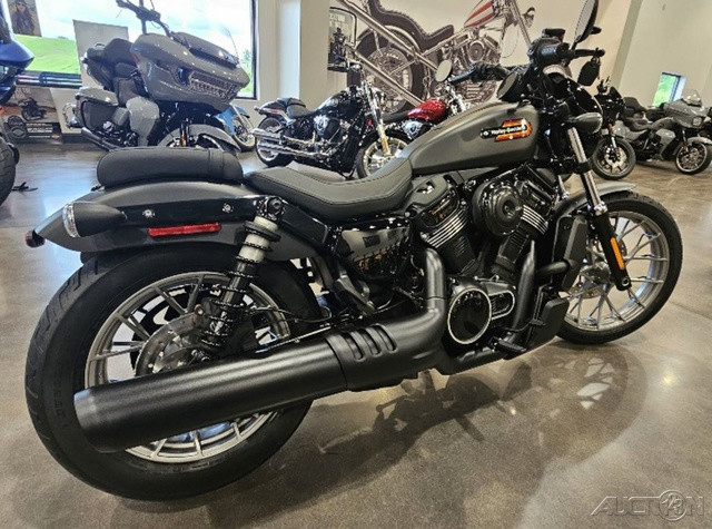 Nightster Special