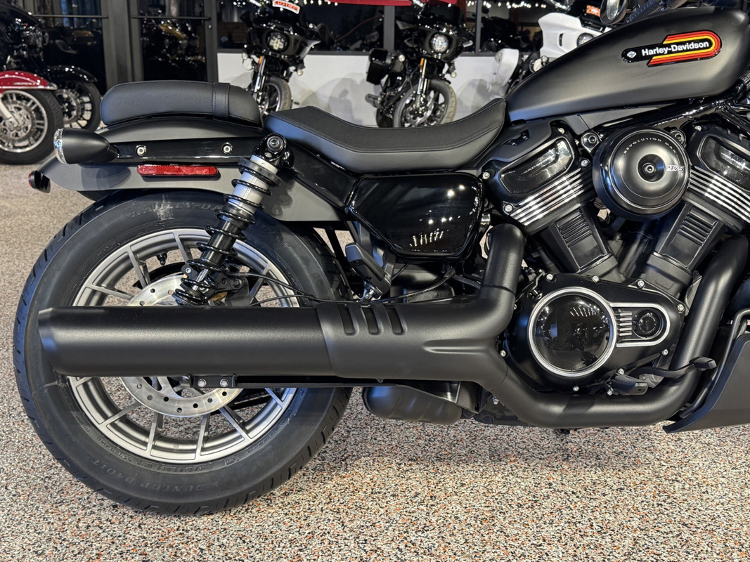Nightster Special