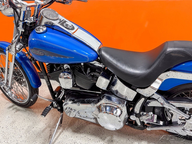 Springer® Softail®