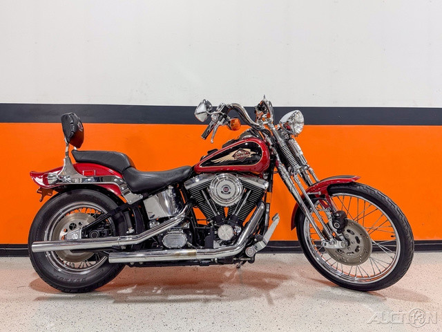 Springer® Softail®