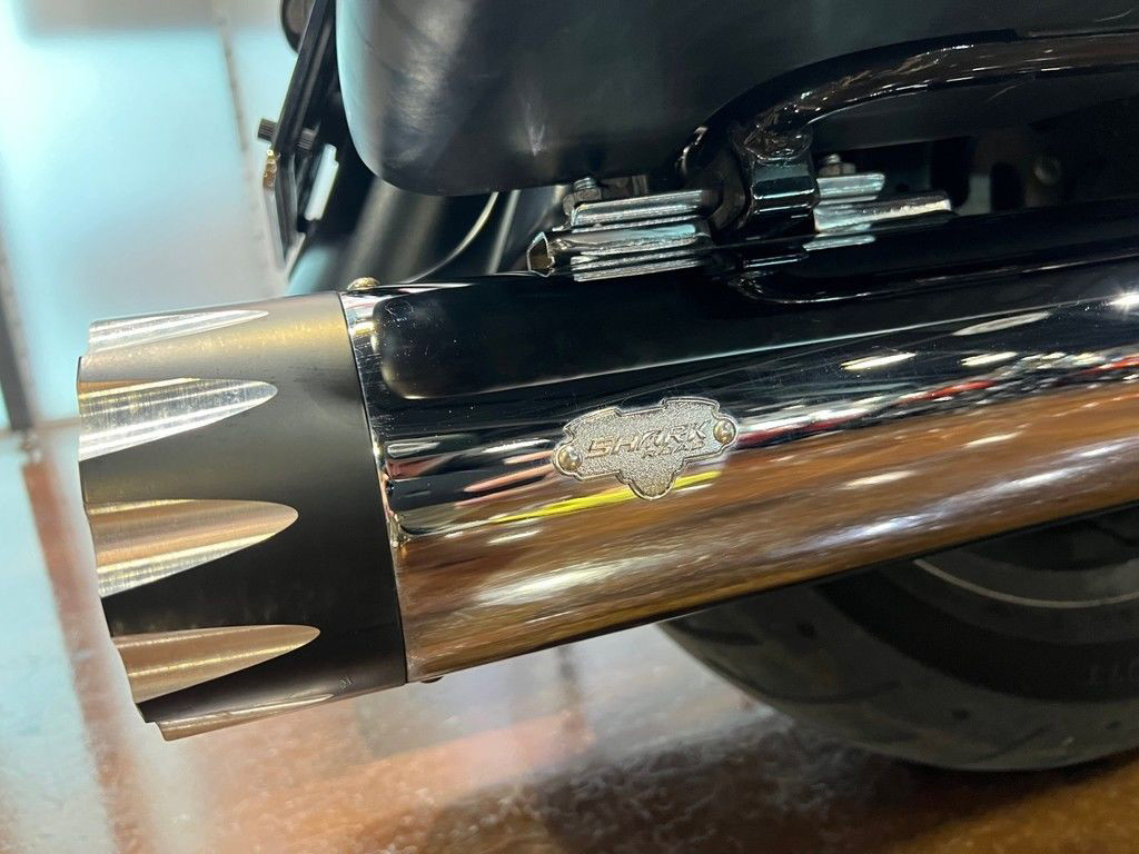 Street Glide® Special