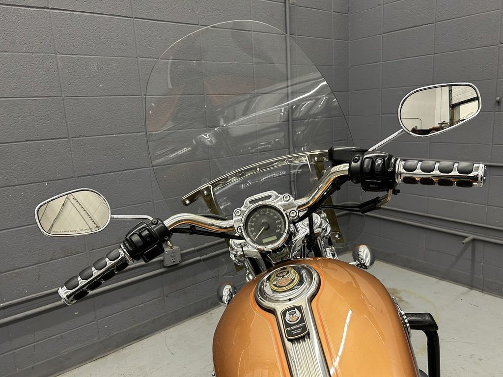 Sportster® 1200 Custom Anniversary