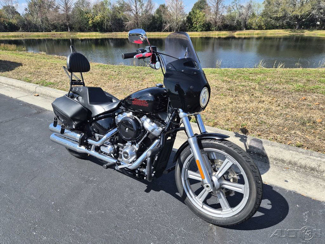 Softail® Standard