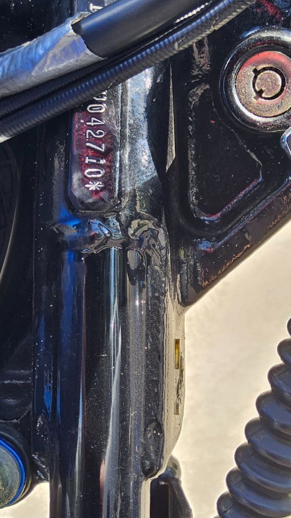 Softail® Custom