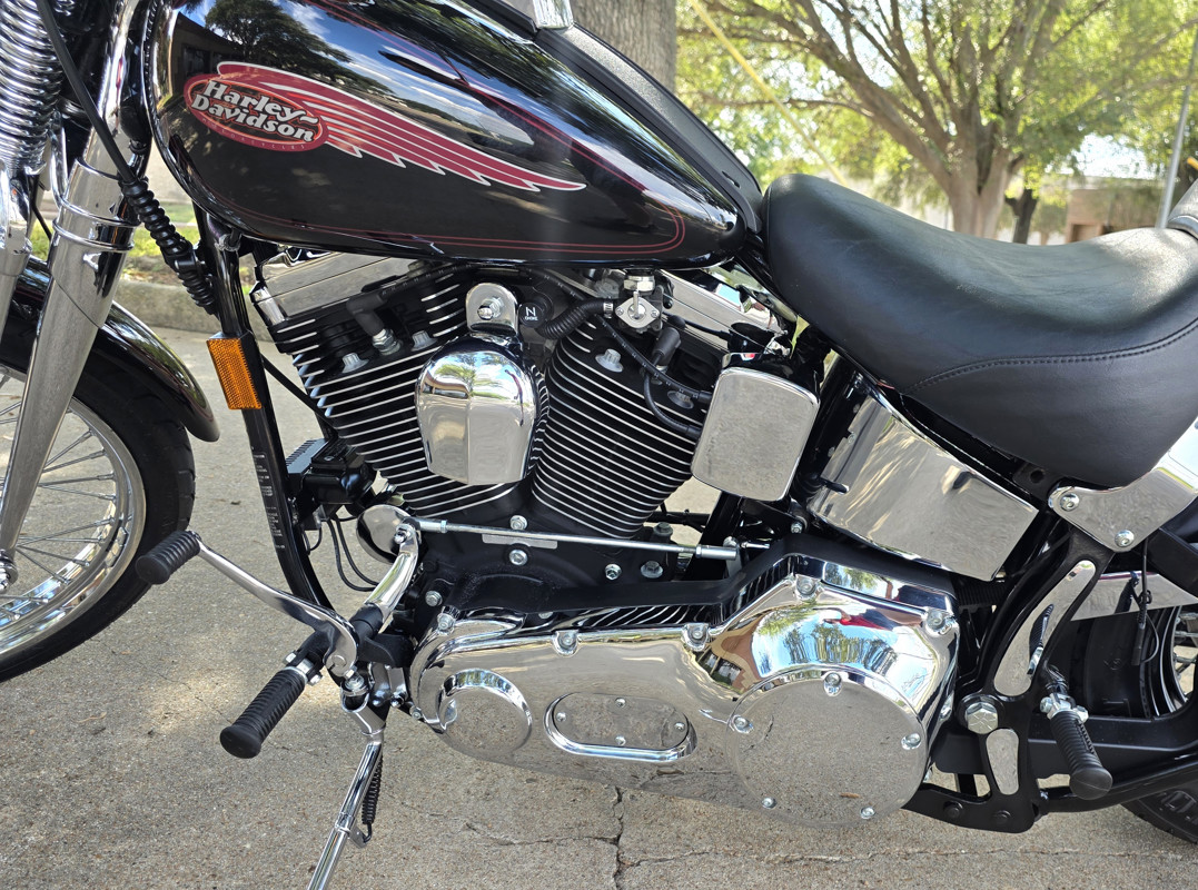 Springer® Softail®