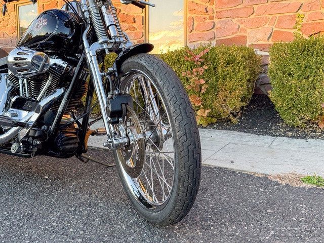 Springer® Softail®