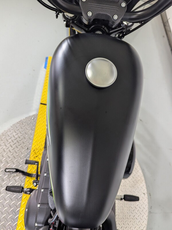 Iron 1200®