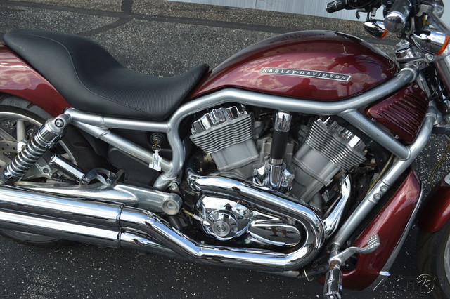 V-Rod®