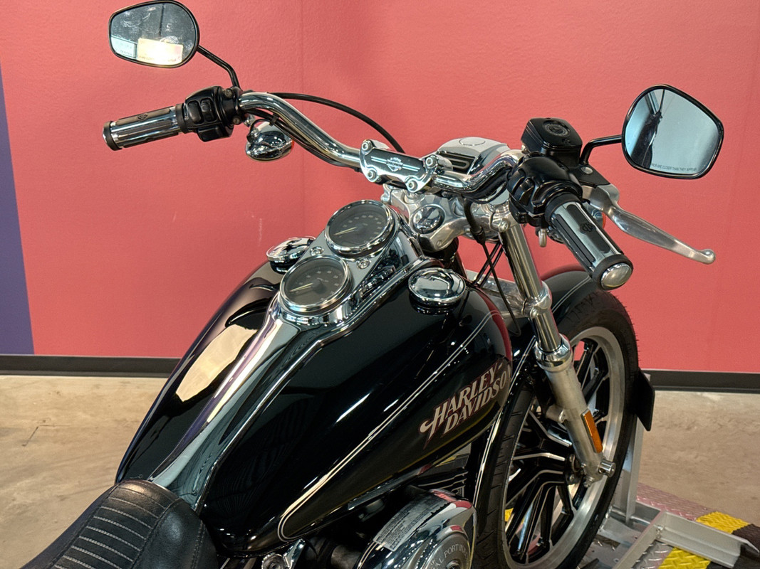 Dyna® Low Rider