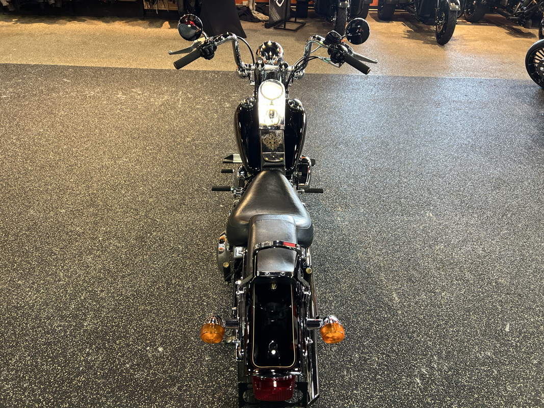 Springer® Softail®