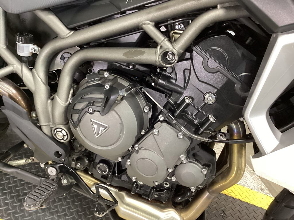Tiger 800 XRT