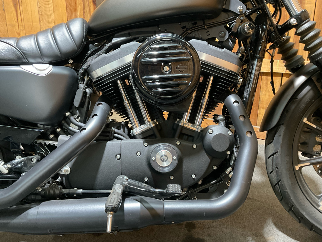 Iron 883®
