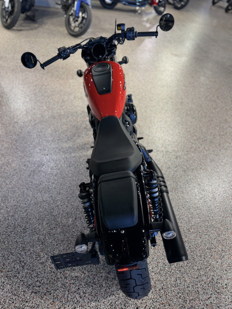 Nightster Special